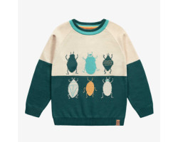 Long sleeves knitted sweater in green and cream with insect jacquard pattern, child