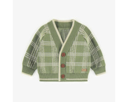 Plaid green knitted vest...