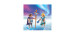 Playmobil - Couple princier des neiges