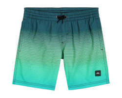 Cali Gradient Volley 14" Swim Shorts - Boy