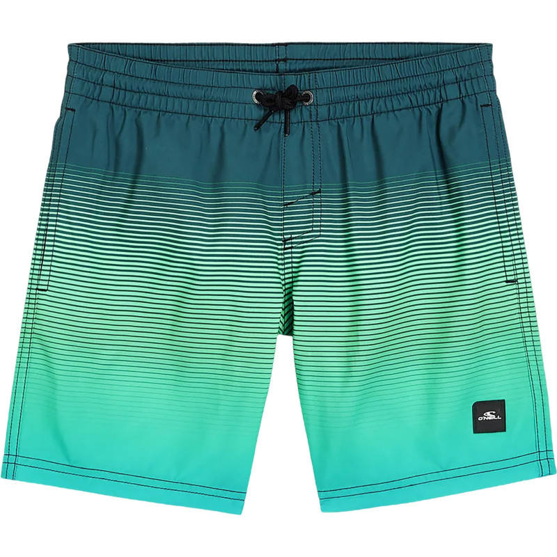 Cali Gradient Volley 14" Swim Shorts - Boy