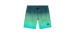 Cali Gradient Volley 14" Swim Shorts - Boy