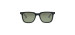 Birch Sunglasses - Gloss Black - Gray Polarized Lenses