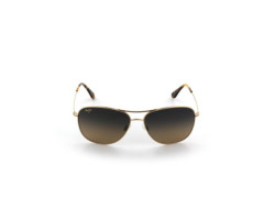Cliff House Sunglasses - Gold Frame - HCL Bronze Polarized Lenses