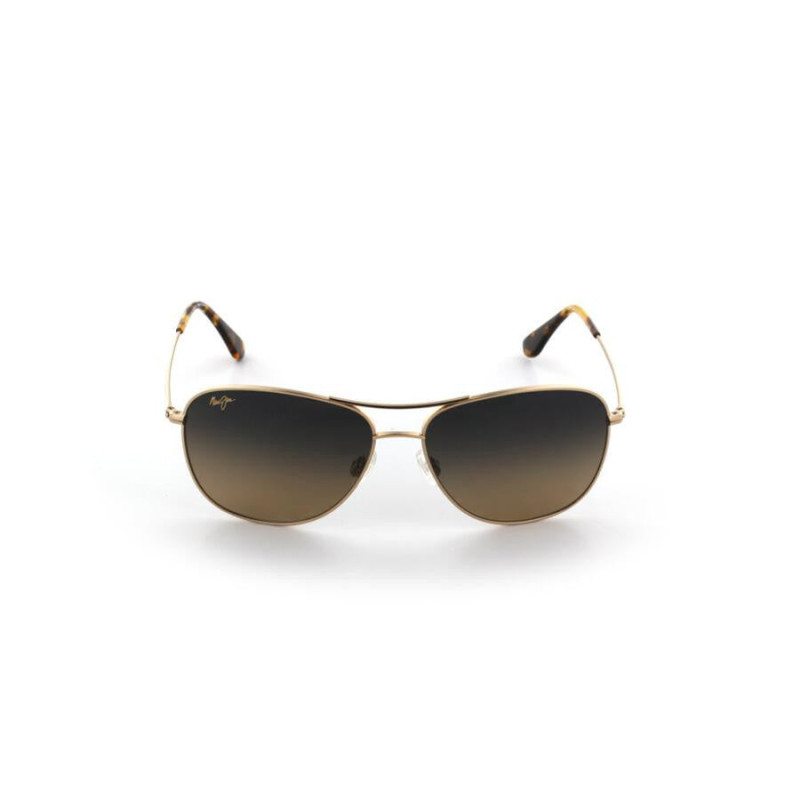 Cliff House Sunglasses - Gold Frame - HCL Bronze Polarized Lenses