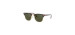Clubmaster Classic - Tortoise - Green Classic Lens