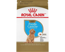 CHIOT CANICHE – nourriture sèche pour chiots – Royal Canin