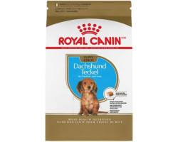 CHIOT TECKEL – nourriture sèche pour chiots – Royal Canin