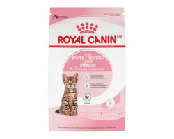 Royal Canin Nourriture pour chaton stérilisé