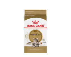 Maine Coon cat food