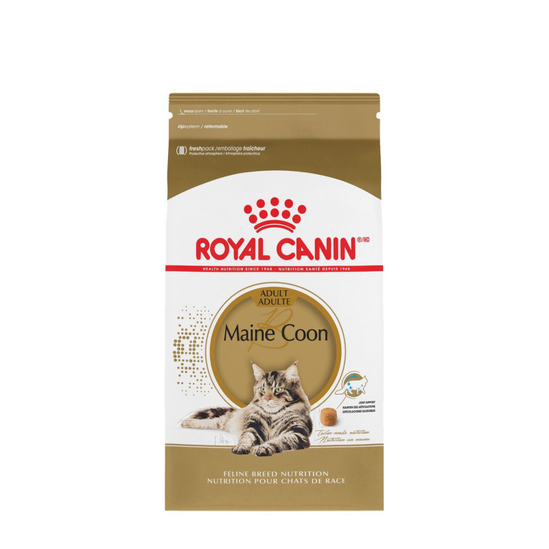 Royal Canin Nourriture pour chats de race Maine Coon