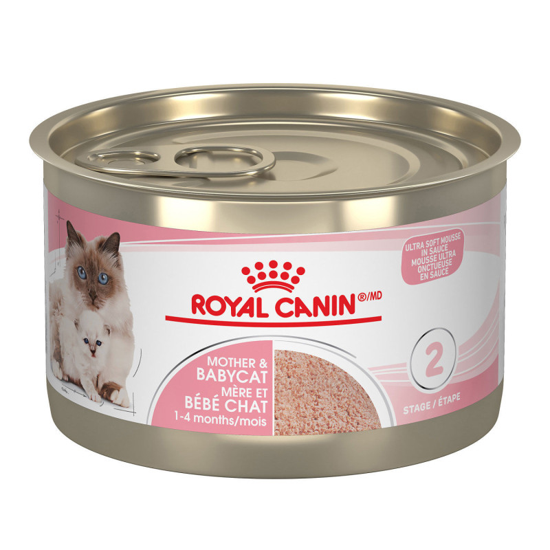 Royal Canin Nourriture humide pour mère et bébé chat