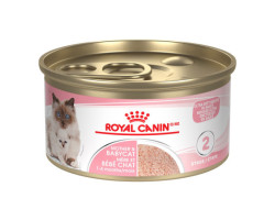 Royal Canin Nourriture humide pour mère et bébé chat