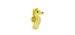 Cat toy seahorse