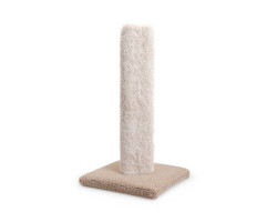 Scratching post