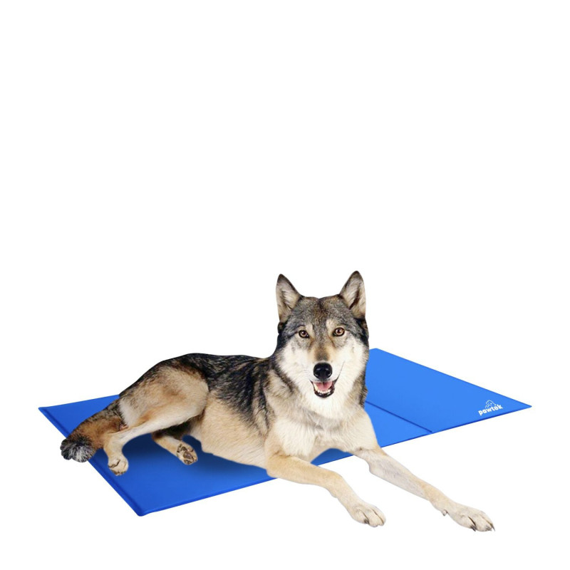 Pawtek Tapis rafraîchissant pour animaux