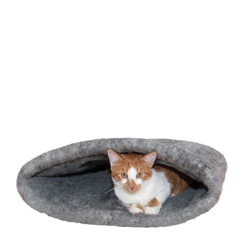 Amazing Kitty Sack Cat Bed