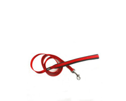 Red nylon leash for cats