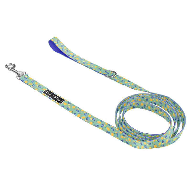 “Sweet Lemonade” leash for cats