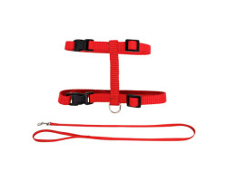 Harness and leash set for cats