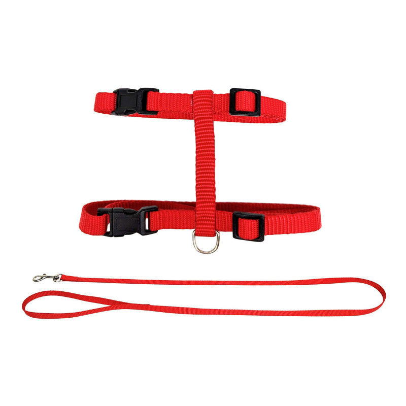 Harness and leash set for cats