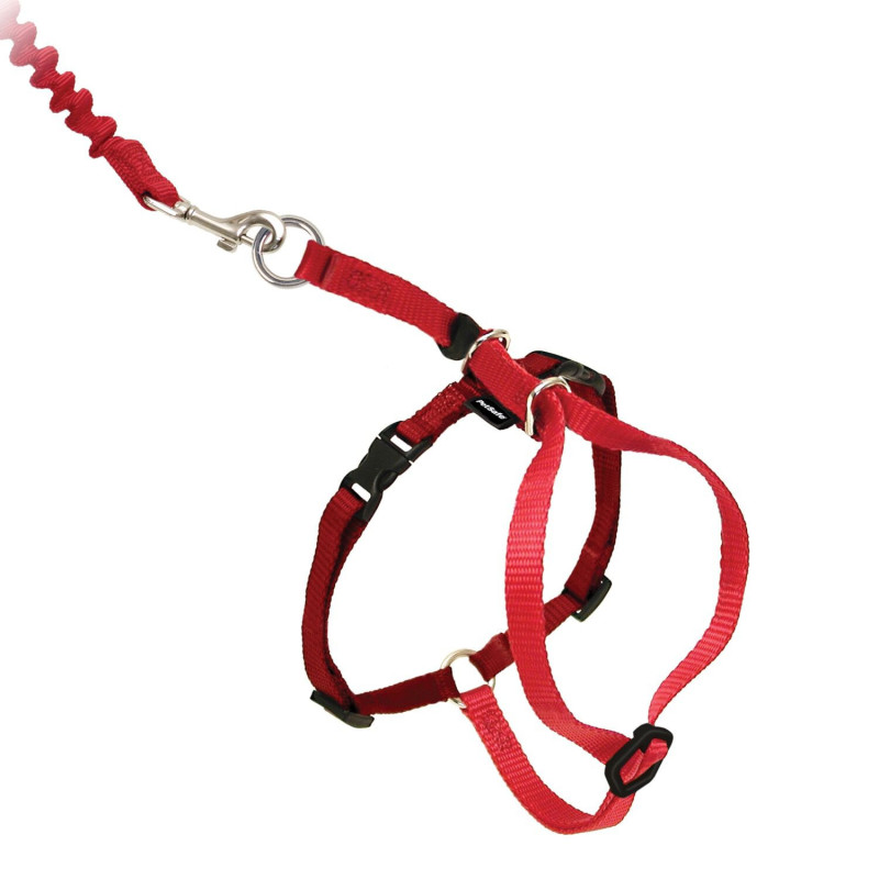 Easy Walk cat harness red, small