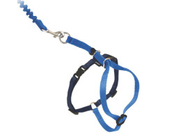 “Easy Walk” harness for cats