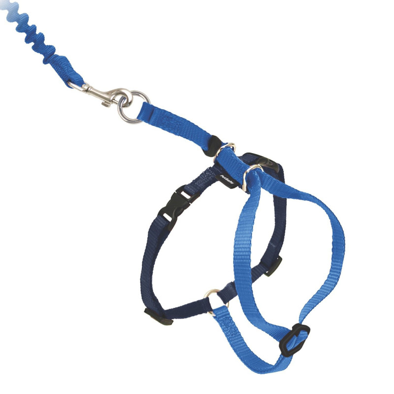 “Easy Walk” harness for cats