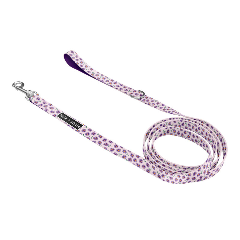 “Violet” leash for cats