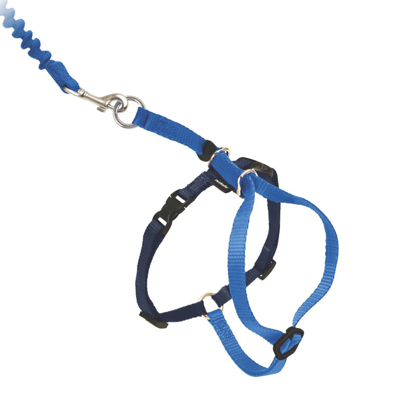 Royal blue Easy Walk cat harness, …