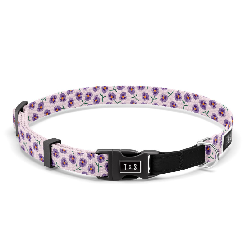 “Violet” collar for cats