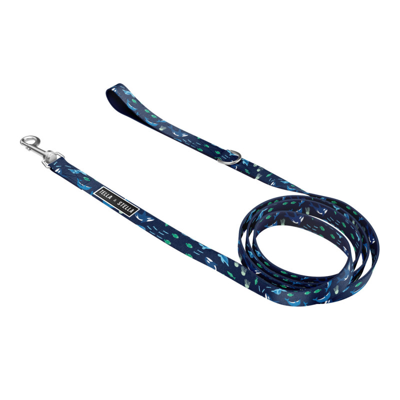 “Meeting maritime” leash for cats