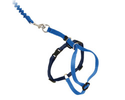 Royal blue Easy Walk cat harness, …