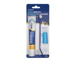 Bluestem Kit de soins bucco-dentaires à saveur de…