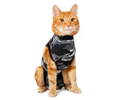 Convalescent clothing for cats