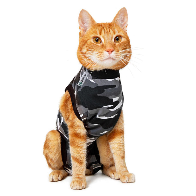 Convalescent clothing for cats