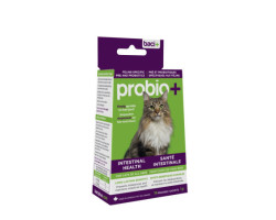 Pre and probiotics for cats