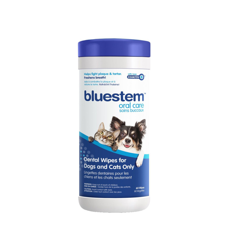 Bluestem Lingettes dentaires pour chiens et chats…