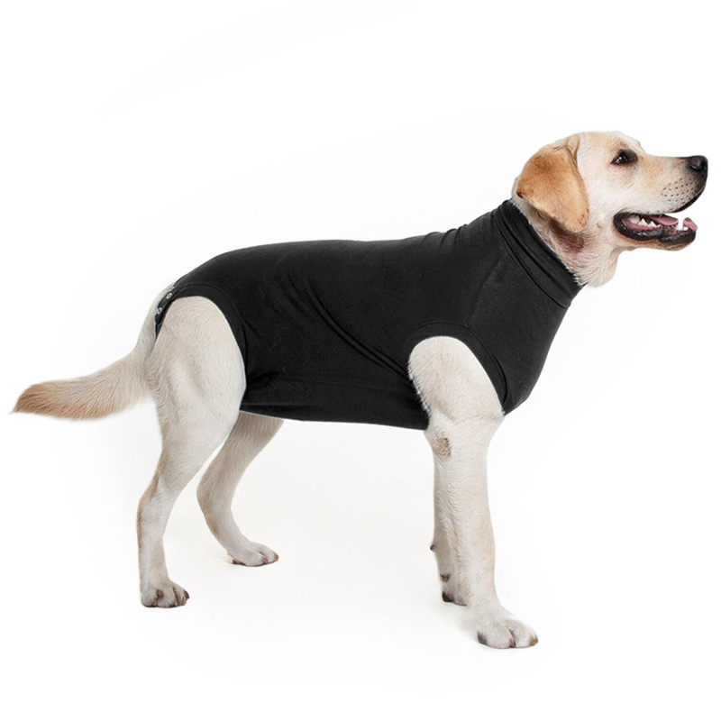 Convalescent clothing for dogs