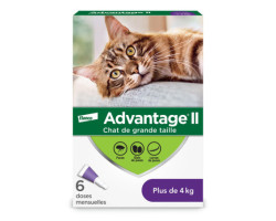 Topical flea protection for…