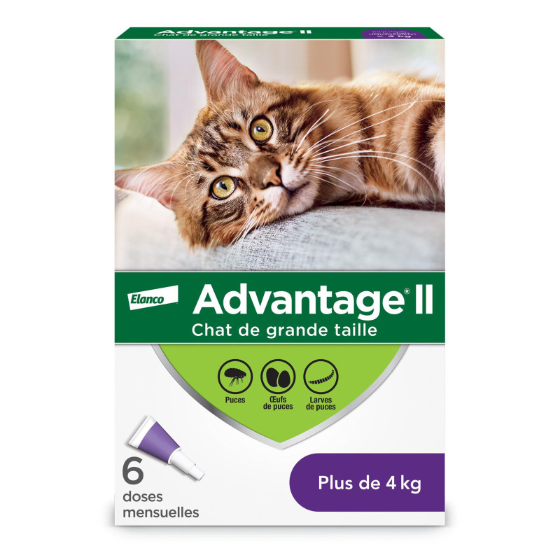 Advantage II Protection topique contre les puces pour…