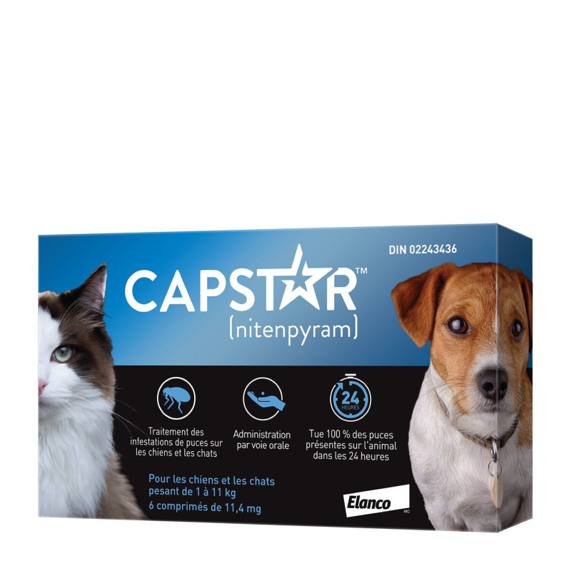 Capstar Traitement antipuces oral pour chats et …