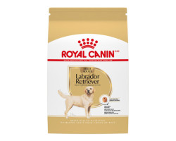 Royal Canin Nourriture sèche pour chiens Labrador Re…
