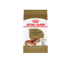 Royal Canin Nourriture sèche pour chiens Teckel adul…