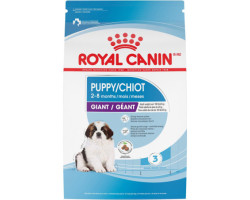 Royal Canin Nourriture sèche pour chiots de race géa…