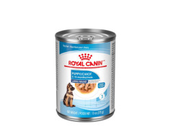 Royal Canin Nourriture humide fines tranches en sauc…