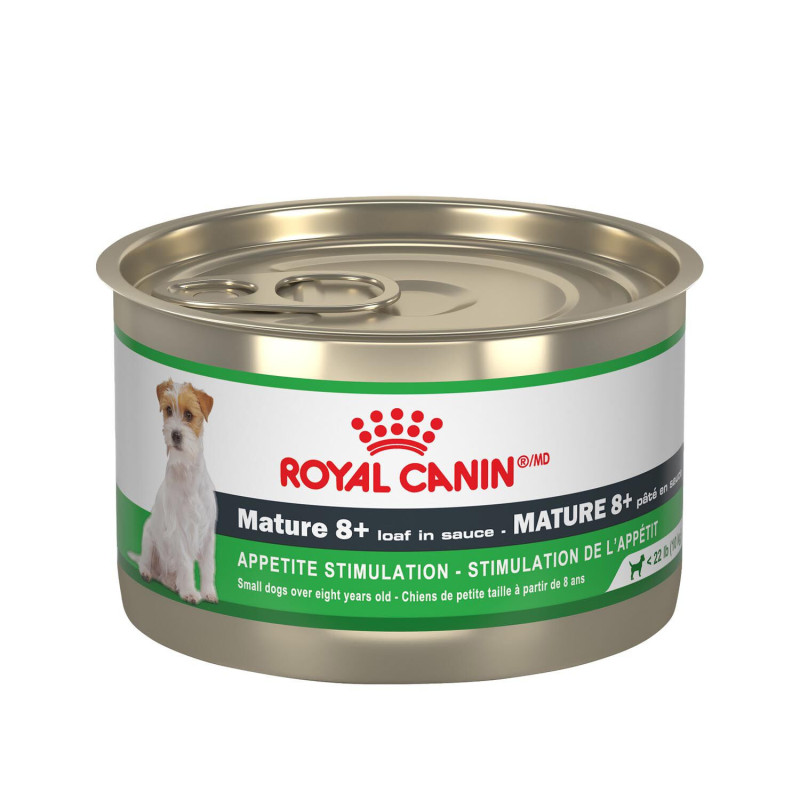 Wet food for small aged dogs…