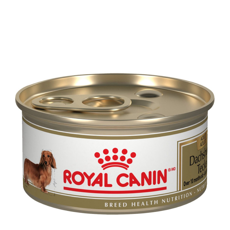 Royal Canin Nourriture humide pour chien adulte de r…