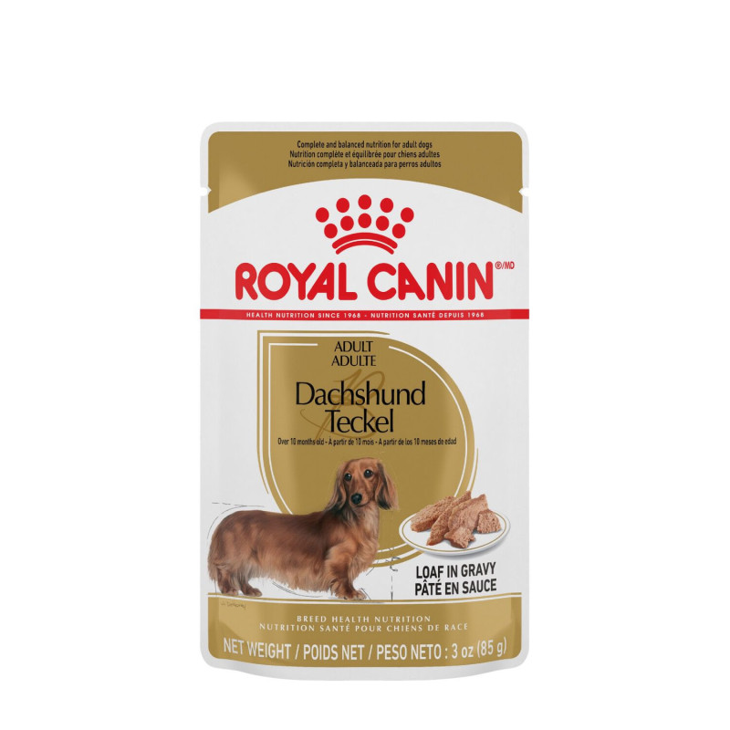 Wet food in a pouch for Dachshund…