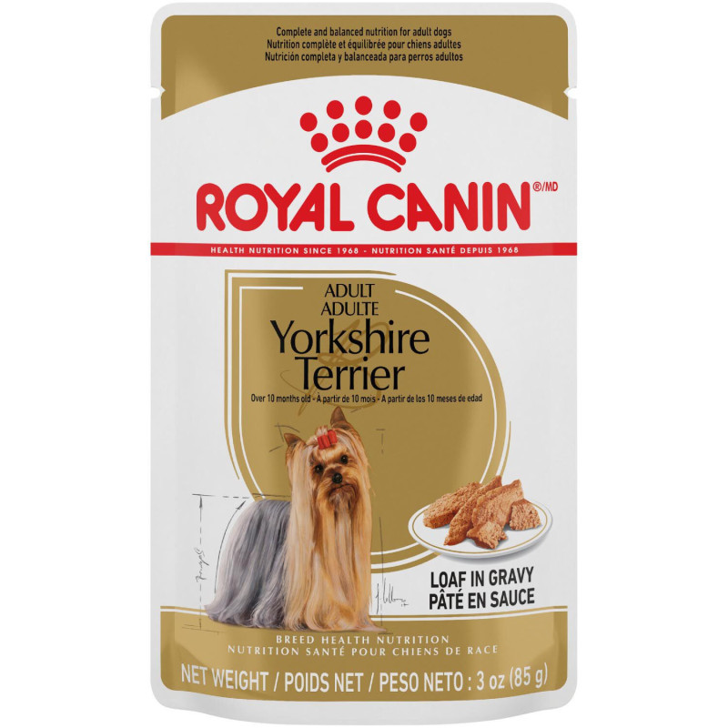 Wet food in sachets for Yorkshire…